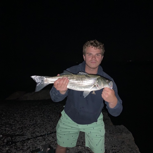 Meet your Posher, Kyle - Picture 1 of 1